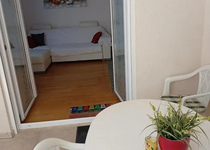 Diva Exclusive Zaboric